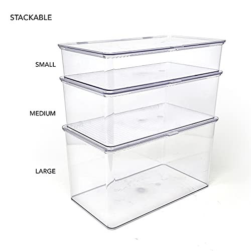Isaac Jacobs Small Stackable Organizer Bin (10.75” x 6.5” x 2.4”) w Hinged Lid Clear Storage Box Home Office School Fridge Bathroom Kitchen Pantry Container BPAFree Food Safe (Small Clear) - size: Small