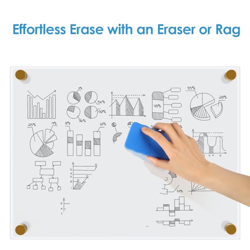 MaxGear Acrylic Dry Erase Board, 18"x24" Clear White Board for Wall - size: 24"W x 18"H