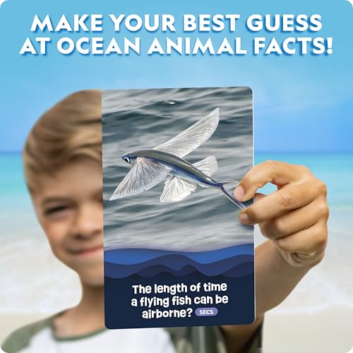 National Geographic Anyone's Guess Ocean Animals Trivia Cards - Kids Trivia Card Game with 55 Jumbo Cards, Animal Games, Kids Trivia Game - style: Ocean Animal Trivia