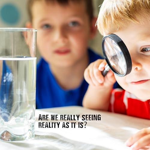 Einstein’s Optical Illusion LAB Science Kit for Kids. STEM for Boys & Girls Aged 8 and Above. 14 Exciting Experiments Inside/Detailed Picture Guide Included. Award Winning Kit - color: Red