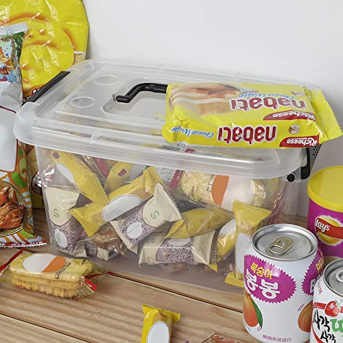 5 L Plastic Storage Bin with Lid, Transparent Organizing Box Set of 6 | With Black Handle - color: Black