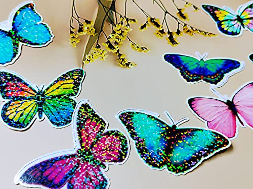 Bleidruck 25 Sheets Sparkle Holographic Clear Vinyl Cold Laminated Film Holographic Overlay 8.25x11.7 Inches Adhesive Vinyl for Stickers - style: Sparkle