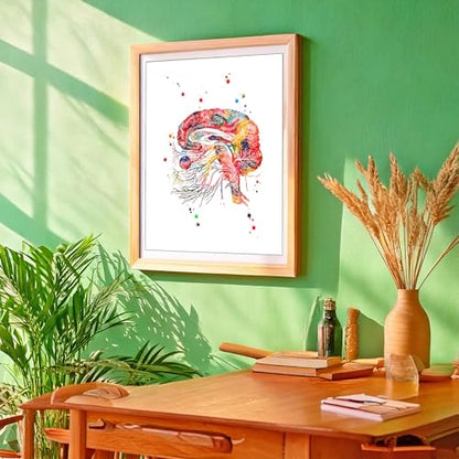 Watercolor Brain Cranial Nerves Brainstem Diagram Illustration Art Print for Neurology Classroom Display, Biology Lab Inspiration, Medical Office Study Desk Dorm Science Wall Art, Med Student Neurologist Anatomy Teacher Science Enthusiast Graduation Neura