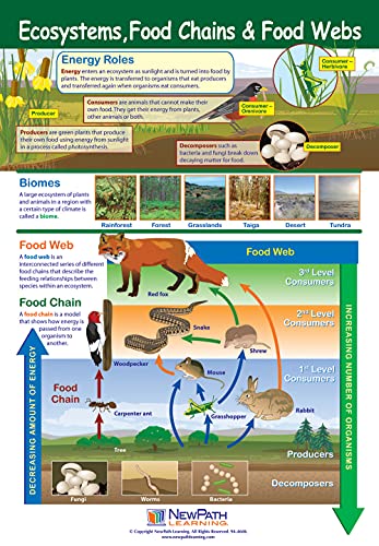 NewPath Learning Life on Earth Posters, Set/6 (Six Kingdoms, Plants, Photosynthesis/Respiration, Animals, Ecosystems/Food Chains/Food Webs, Microlife) - Laminated, Full-Color, 23" x 35" (34-9703)