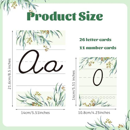 Gilprop Eucalyptus Bulletin Board Alphabet Letters, 37 Pcs Cursive Abc Alphabet Poster Classroom Decor Set Preschool Kindergarten Primary School Classroom Wall Decor Daycare Homeschool Supplies - style: Eucalyptus