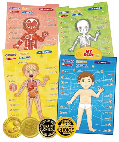 BEST LEARNING i-Poster My Body - Interactive Educational Human Anatomy Talking Toy for Kids Ages 5-12 to Learn Body Parts, Organs, Muscles and Bones Through Fun Sound and Quiz Modes - style: My Body