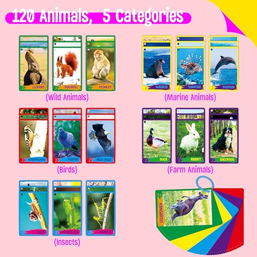 My First 120 Animals, 60PCS Realistic Zoo Animal Cards Farm/Wild/Marine Animals/Insects/Birds Flashcards Montessori & Science Educational Toys Preschool Learning for Homeschool Preschool Toddler Kids - style: Animal Cards