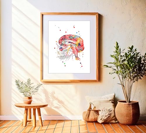 Watercolor Brain Cranial Nerves Brainstem Diagram Illustration Art Print for Neurology Classroom Display, Biology Lab Inspiration, Medical Office Study Desk Dorm Science Wall Art, Med Student Neurologist Anatomy Teacher Science Enthusiast Graduation Neura