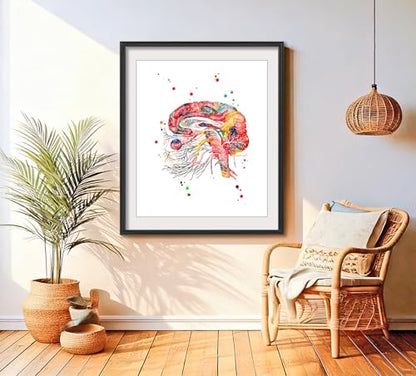 Watercolor Brain Cranial Nerves Brainstem Diagram Illustration Art Print for Neurology Classroom Display, Biology Lab Inspiration, Medical Office Study Desk Dorm Science Wall Art, Med Student Neurologist Anatomy Teacher Science Enthusiast Graduation Neura