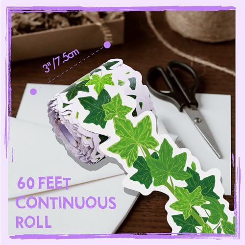 60 Feet Bulletin Board Borders, Scalloped Rolled Border Trim with Ivy Leaves Patterns for School, Classroom & Offices - color: Lvy Leaves