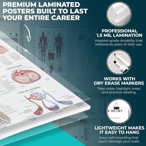 12-Pack Laminated Anatomy Posters for Wall – Educational Human Body Systems Charts for Students, Classrooms & Medical Office Decor - Includes Muscular, Skeletal, Nervous & More, Size 17”x27”