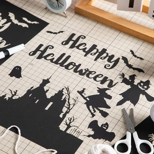20 Sheets Black Cardstock 12" x 12" Card Stock 250gsm/92lb Thick Construction Paper for Cricut, Scrapbook, Crafts, Card Making UAP34BK20 - color: Black