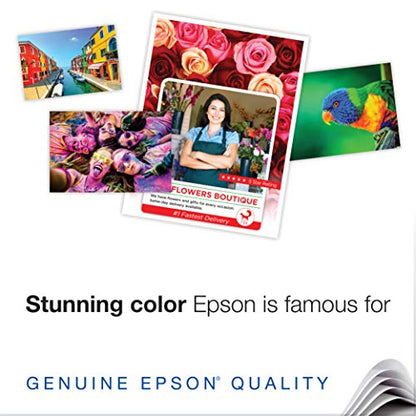 Epson Premium Presentation Paper MATTE (8.5x11 Inches, Double-sided, 50 Sheets) (S041568),Bright White - size: 50 Count (Pack of 1)