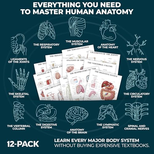 12-Pack Laminated Anatomy Posters for Wall – Educational Human Body Systems Charts for Students, Classrooms & Medical Office Decor - Includes Muscular, Skeletal, Nervous & More, Size 17”x27”
