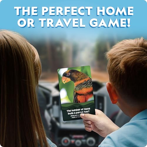 National Geographic Anyone's Guess Rainforest Animals Trivia Cards - Kids Trivia Card Game with 55 Jumbo Cards, Animal Games, Trivia Game - style: Rainforest Animal Trivia
