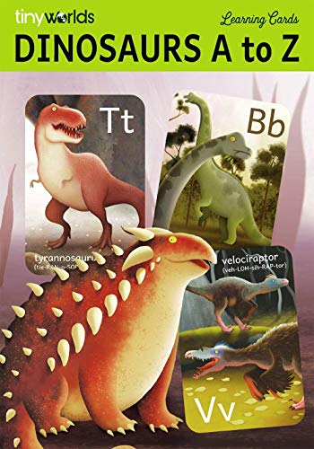 Dinosaur ABC Flash Cards, Alphabet A to Z Dinosaurs flashcards for Kids 4-8 Years, Dinos Picture Learning Cards, Dino Flash Card for Pre-K, Children: Set of 26 FlashCards