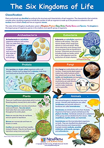 NewPath Learning Life on Earth Posters, Set/6 (Six Kingdoms, Plants, Photosynthesis/Respiration, Animals, Ecosystems/Food Chains/Food Webs, Microlife) - Laminated, Full-Color, 23" x 35" (34-9703)