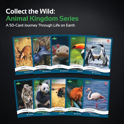 Parkside Curiosity Cards - Animal Kingdom Collectible Trading Cards - 50 Wildlife Flash Cards for Girls & Boys - STEM Learning Flashcards for Kids with Smithsonian Zoo Animal Facts - Made in USA