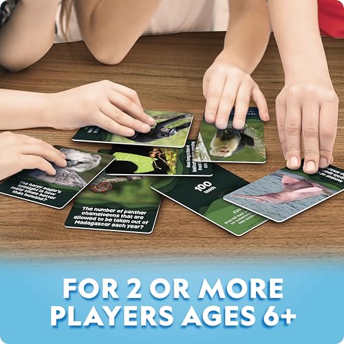 National Geographic Anyone's Guess Rainforest Animals Trivia Cards - Kids Trivia Card Game with 55 Jumbo Cards, Animal Games, Trivia Game - style: Rainforest Animal Trivia