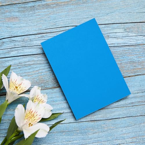 DMiotech 20 Pack Sanded Pastel Papers 11 x 8 Inch, Blue Pastel Papers 160GSM Art Cardstock Papers for Artists Crayons Charcoal DIY Crafts - color: Blue, size: 11 x 8 Inch