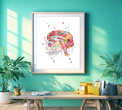 Watercolor Brain Cranial Nerves Brainstem Diagram Illustration Art Print for Neurology Classroom Display, Biology Lab Inspiration, Medical Office Study Desk Dorm Science Wall Art, Med Student Neurologist Anatomy Teacher Science Enthusiast Graduation Neura