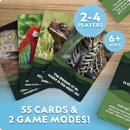 National Geographic Anyone's Guess Rainforest Animals Trivia Cards - Kids Trivia Card Game with 55 Jumbo Cards, Animal Games, Trivia Game - style: Rainforest Animal Trivia