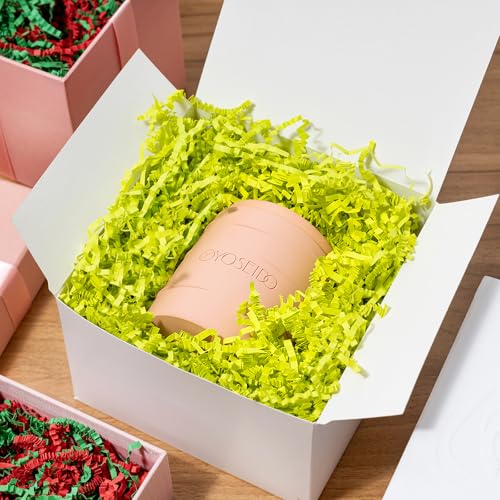 Mefleet 2 LB Crinkle Cut Paper Shred Filler Light Green Crinkle Shredded Paper for Gift Box - Gift Basket Bag Filler - Grass Cushion Stuffing for Christmas Holiday Packaging Wrapping - color: Light Green