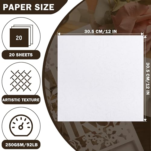 20 Sheets Double-sided Embossed White Cardstock 12" x 12" Card Stock 250gsm/92lb Thick Construction Paper for Cricut, Scrapbook, Crafts, Card Making UAP34DW20 - color: Embossed White