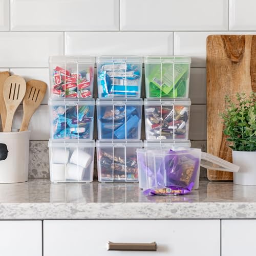 IRIS USA Vertical Storage Bins with Lids |Made in USA| Flip Top Containers for Organizing Pantry, Office, Craft, and Study Supplies - Small (10-Pack) - size: Small - 10 Pack