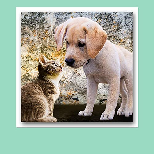 Hamilco White Cardstock Scrapbook Paper 12x12 65 lb Cover Card Stock – 25 Pack - size: 65 lb Cover