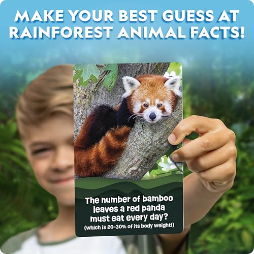 National Geographic Anyone's Guess Rainforest Animals Trivia Cards - Kids Trivia Card Game with 55 Jumbo Cards, Animal Games, Trivia Game - style: Rainforest Animal Trivia