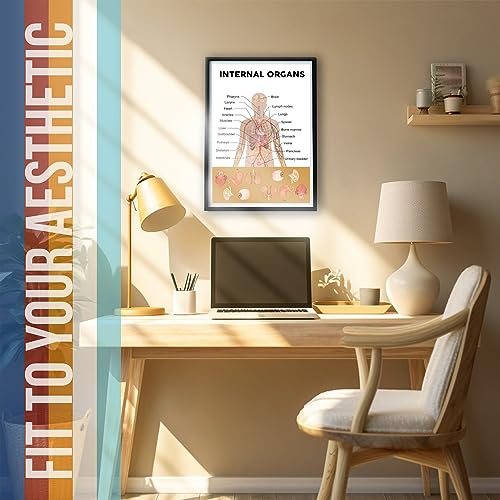 Internal Human Organ Diagram Poster - Educational School Poster For Elementary Middle Classroom - 12 x 18 Inch Unframed Poster - Premium Poster On 100lb Gloss Paper - Printed In The USA FHJP1095