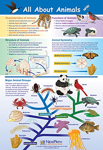 NewPath Learning Life on Earth Posters, Set/6 (Six Kingdoms, Plants, Photosynthesis/Respiration, Animals, Ecosystems/Food Chains/Food Webs, Microlife) - Laminated, Full-Color, 23" x 35" (34-9703)