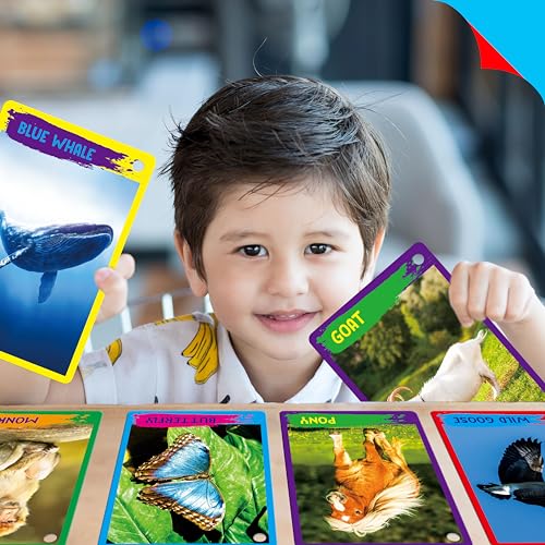My First 120 Animals, 60PCS Realistic Zoo Animal Cards Farm/Wild/Marine Animals/Insects/Birds Flashcards Montessori & Science Educational Toys Preschool Learning for Homeschool Preschool Toddler Kids - style: Animal Cards