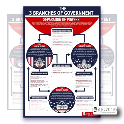 Learning Three Branches of Government chart LAMINATED poster for classroom clear teaching tool for schools Young N Refined (18x24) - color: Three Branches, size: 18x24