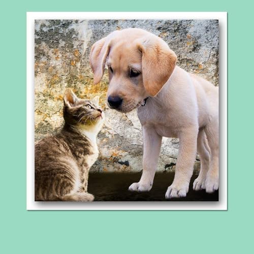 Hamilco Colored Scrapbook Cardstock Paper 12x12 Card Stock Paper 65 lb Cover 25 Pack (Lime Green) - color: Lime Green