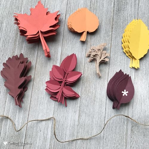 Cardstock Warehouse Colorplan Claret Burgundy Cardstock Paper – 25 Sheets, 8.5 x 11" – 100 lb. / 270 GSM Premium Matte Cover Cardstock for Invitations, Card Making, Scrapbooking & DIY Projects - color: Claret