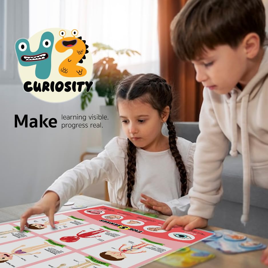 42 Curiosity Human Body Poster for Kids 24x36 Laminated Educational Anatomy Chart, Skeletal, Muscular, Digestive & Five Senses Learning Poster for Classroom & Homeschool, Made in USA