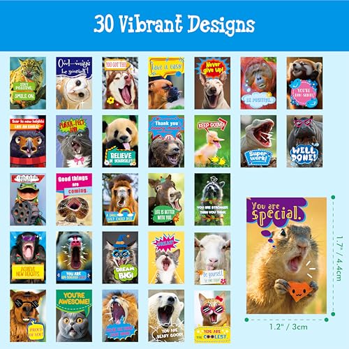 510 PCS Funny Incentive Stickers, 30 Designs Motivational Positive Stickers, Hilarious Animals Rectangular Reward Labels, Positive Encouragement Chart Decor for Kids, Teachers, Classroom, Office - style: Rectangle-A